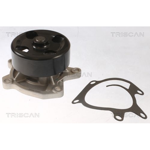 TRISCAN Wasserpumpe, Motork&uuml;hlung 8600 25097