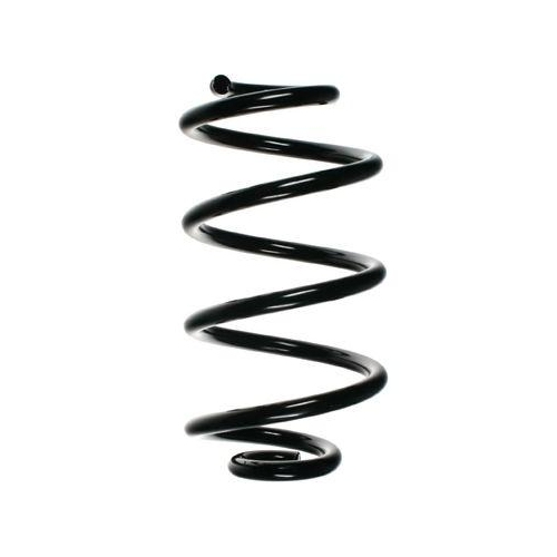 SPIDAN Fahrwerksfeder 85384