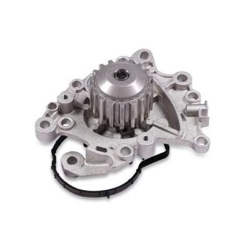 GK Wasserpumpe, Motorkühlung 981901