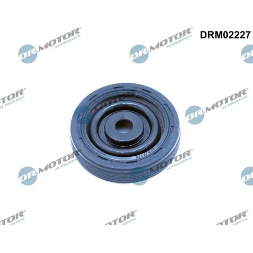 Dr.Motor Automotive Wellendichtring, Kurbelwelle DRM02227