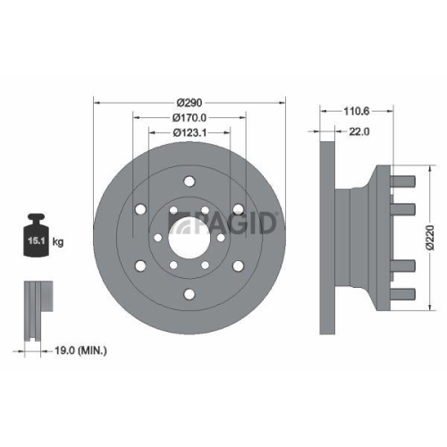 PAGID Bremsscheibe 54754N