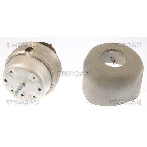 TRISCAN Lagerung, Motor 8505 29166