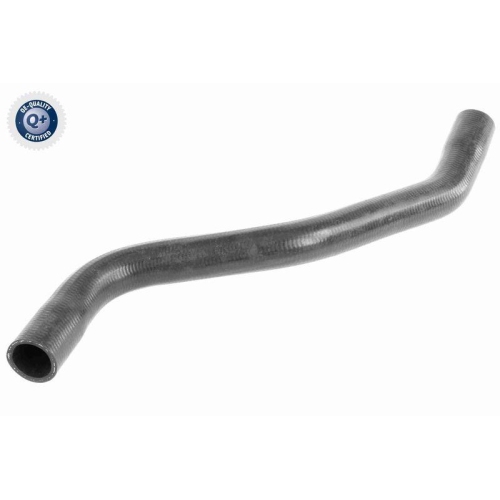 VAICO K&uuml;hlerschlauch Q+, Erstausr&uuml;sterqualit&auml;t V46-0915