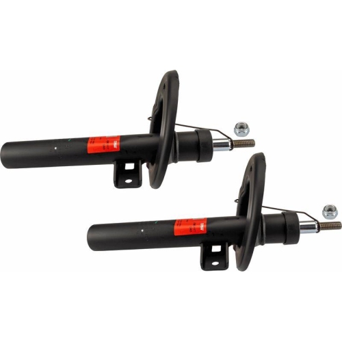 TRW Stoßdämpfer TRW TWIN