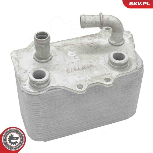 ESEN SKV &Ouml;lk&uuml;hler, Motor&ouml;l 31SKV335
