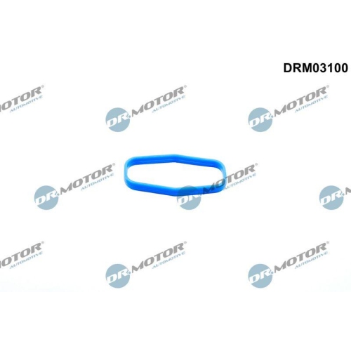 Dr.Motor Automotive Dichtung, &Ouml;lpumpe DRM03100