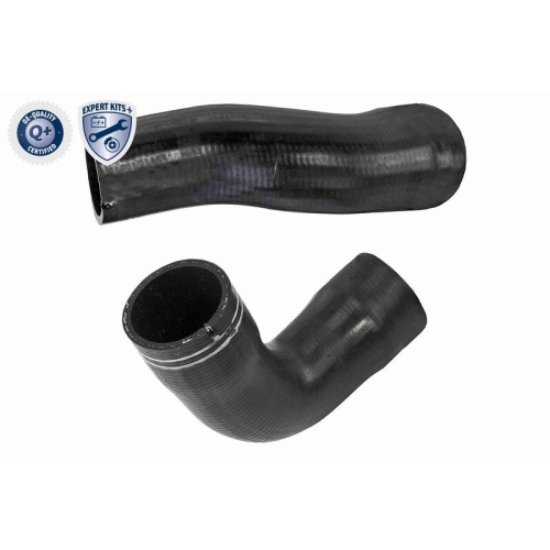 VAICO Ladeluftschlauch EXPERT KITS + V24-0986