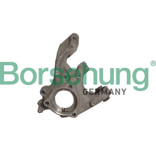 Borsehung Achsschenkel, Radaufhängung