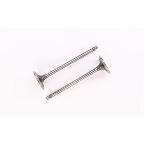 CORTECO Einlassventil 551651B