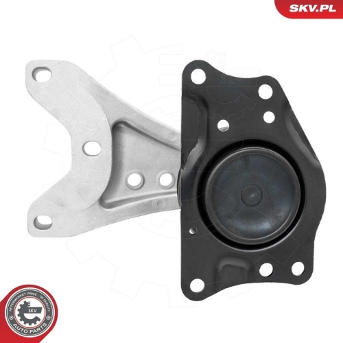 ESEN SKV Lagerung, Motor 75SKV046