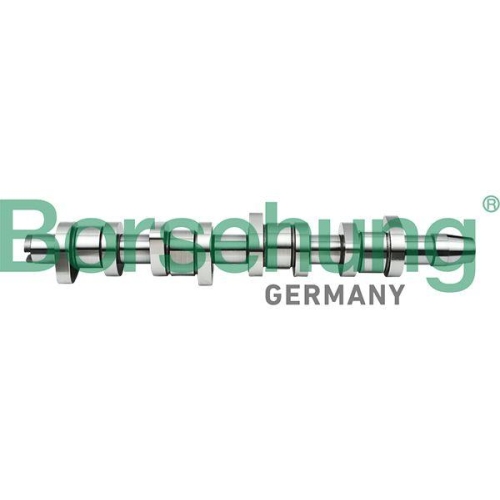 Borsehung Nockenwelle B17861