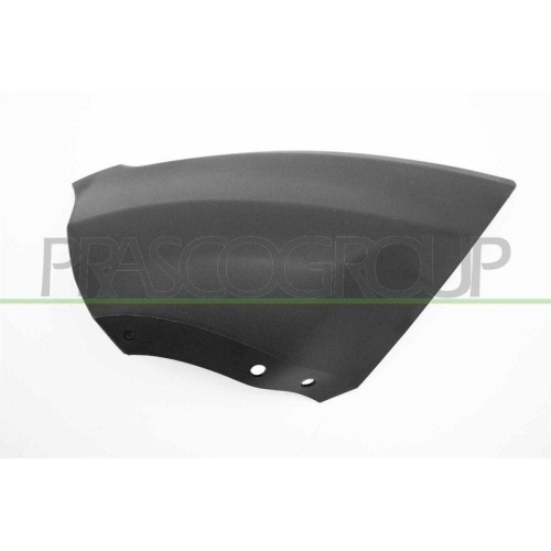 PRASCO Zier-/Schutzleiste, Sto&szlig;f&auml;nger FD7521243