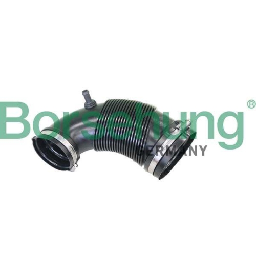 Borsehung Ansaugschnorchel