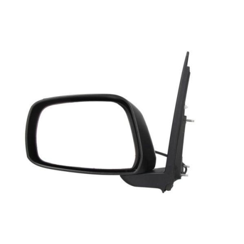 BLIC Au&szlig;enspiegel 5402-04-1191558P