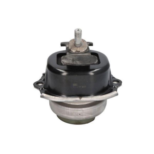 REINHOCH Lagerung, Motor RH11-3093