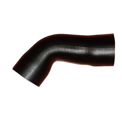 BUGIAD Ladeluftschlauch 87636