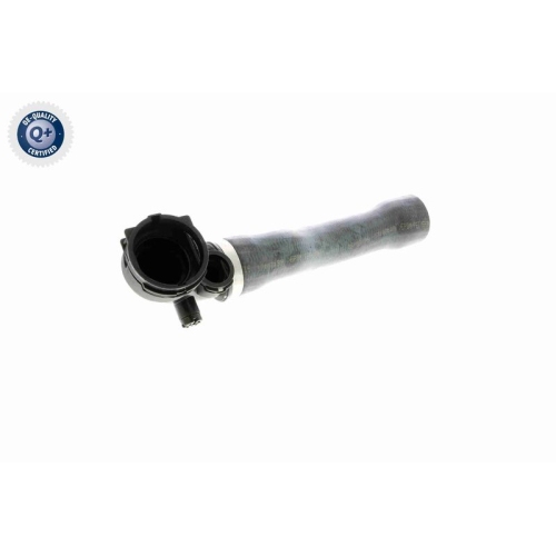 VAICO Kühlerschlauch Q+, Erstausrüsterqualität V20-1925