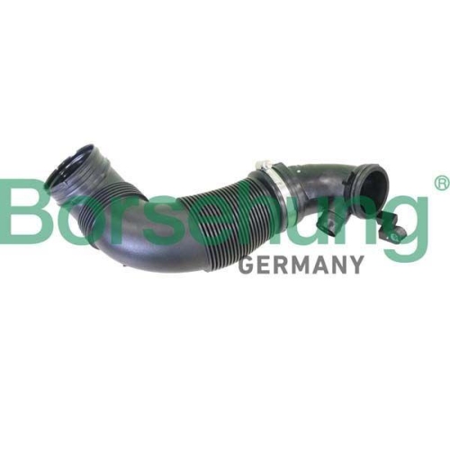 Borsehung Ansaugschnorchel