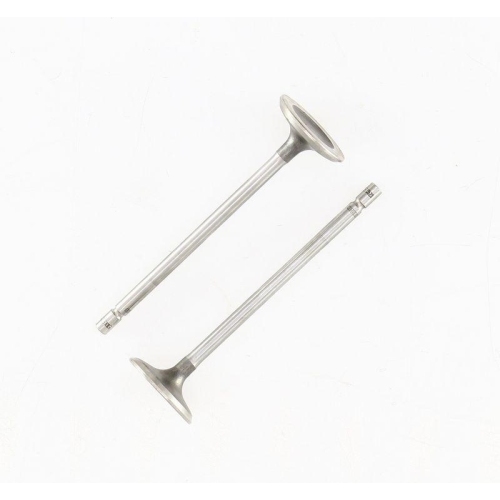 CORTECO Einlassventil 551723B