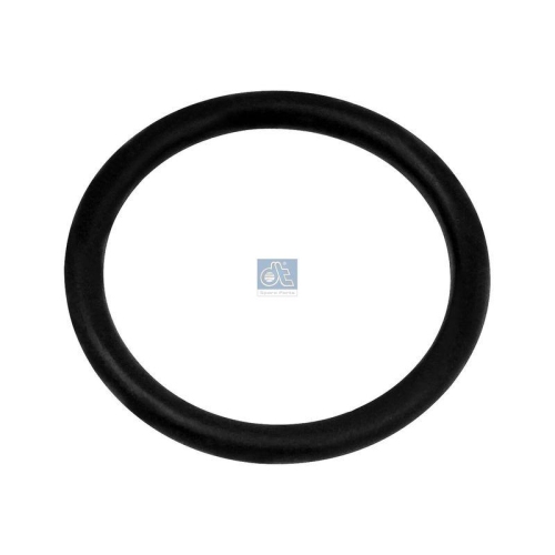 DT Spare Parts Dichtring 3.89512