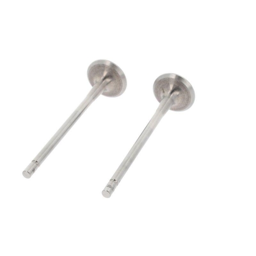 CORTECO Auslassventil 551724B