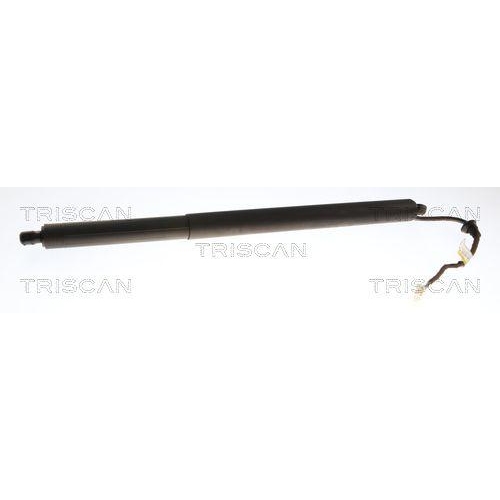 TRISCAN Gasfeder, Koffer-/Laderaum 8710 24301
