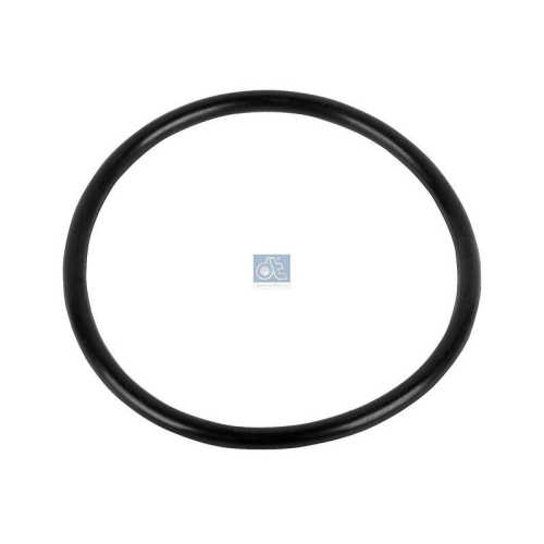DT Spare Parts Dichtring 3.89529