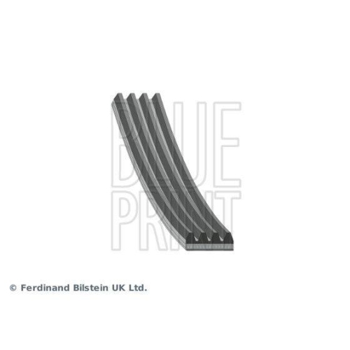 BLUE PRINT Keilrippenriemen AD04R1250