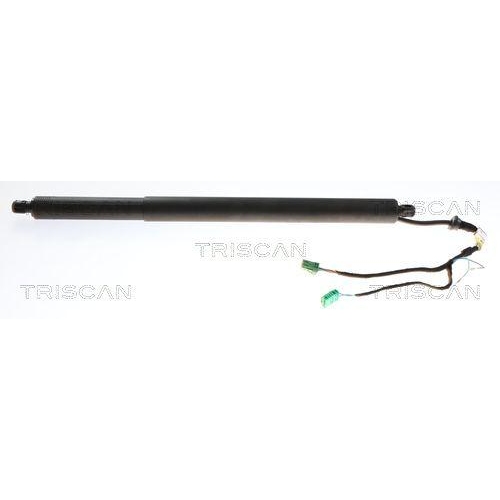 TRISCAN Gasfeder, Koffer-/Laderaum 8710 28302