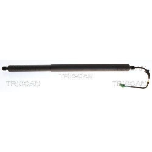TRISCAN Gasfeder, Koffer-/Laderaum 8710 24302