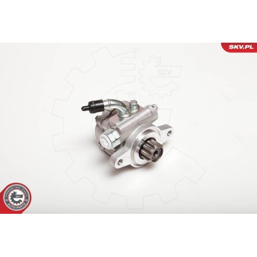 ESEN SKV Hydraulikpumpe, Lenkung