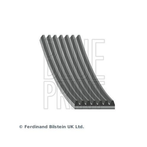 BLUE PRINT Keilrippenriemen AD07R1153