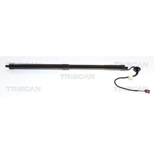 TRISCAN Gasfeder, Koffer-/Laderaum 8710 27314