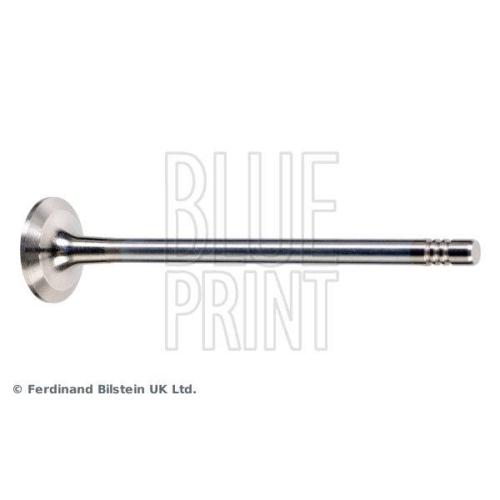 BLUE PRINT Auslassventil ADBP610040