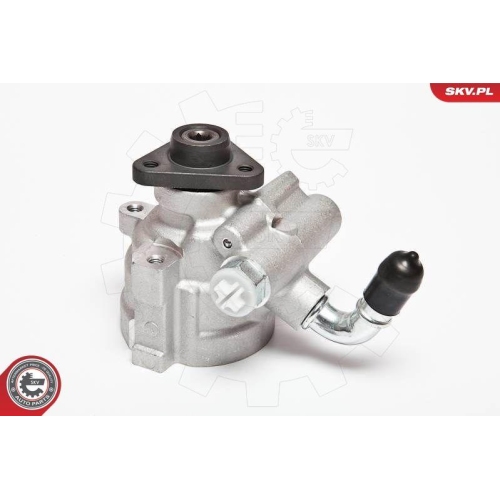 ESEN SKV Hydraulikpumpe, Lenkung