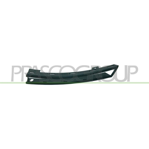 PRASCO Zier-/Schutzleiste, Sto&szlig;f&auml;nger PremiumCertified VG0541246