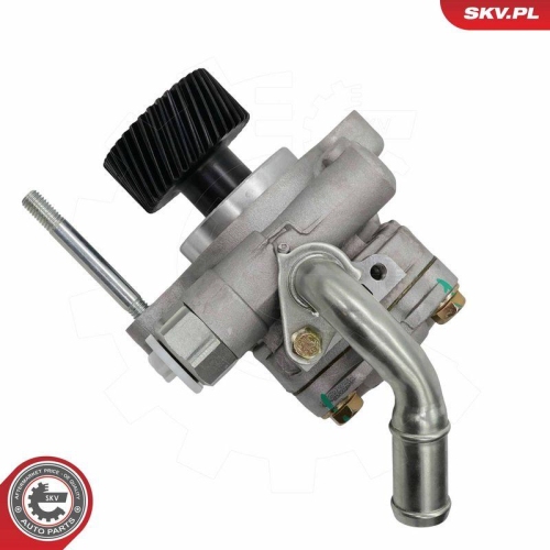 ESEN SKV Hydraulikpumpe, Lenkung 10SKV323