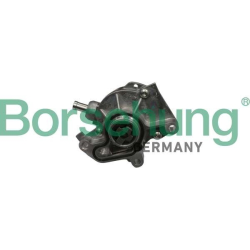 Borsehung Unterdruckpumpe, Bremsanlage B18801