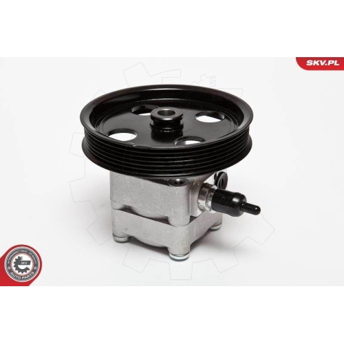 ESEN SKV Hydraulikpumpe, Lenkung