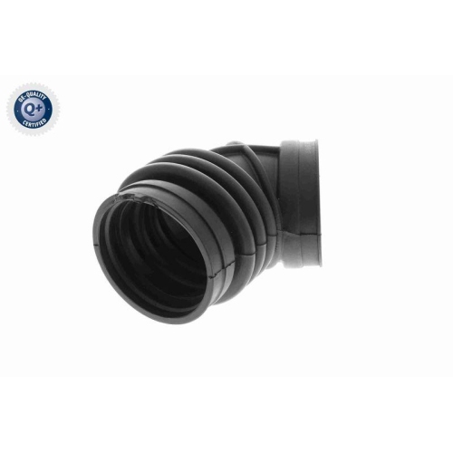 VAICO Ansaugschlauch, Luftfilter Q+, Erstausrüsterqualität