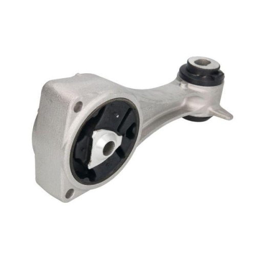 REINHOCH Lagerung, Motor RH11-2081