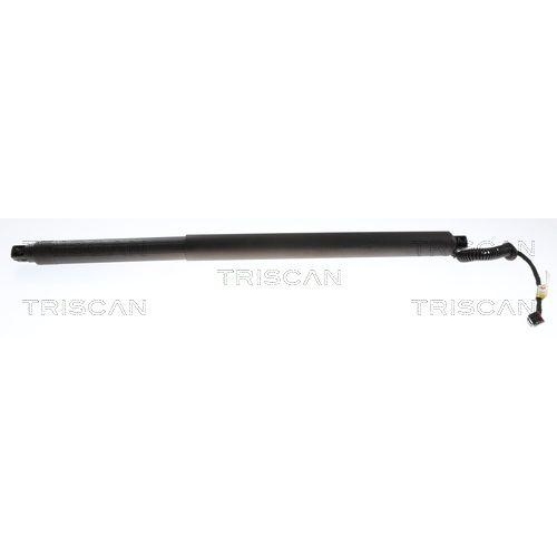TRISCAN Gasfeder, Koffer-/Laderaum 8710 292086