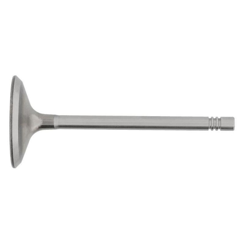 TOPRAN Einlassventil 109 684