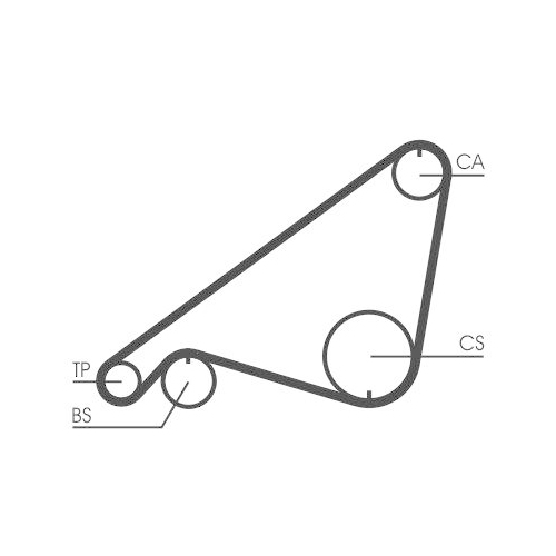 CONTINENTAL CTAM Zahnriemen CT752