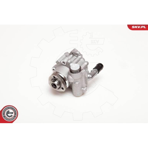 ESEN SKV Hydraulikpumpe, Lenkung