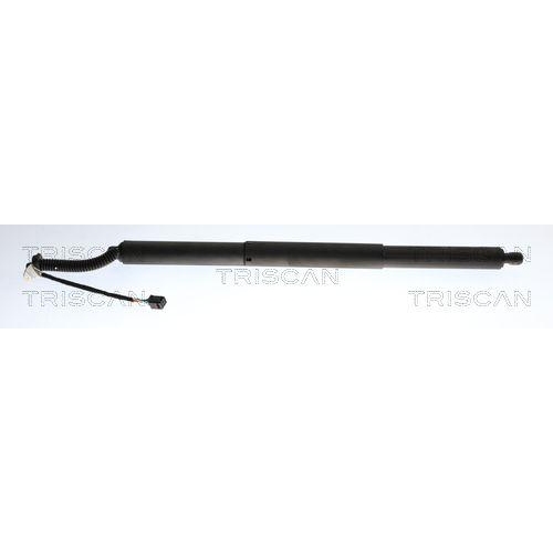 TRISCAN Gasfeder, Koffer-/Laderaum 8710 29323
