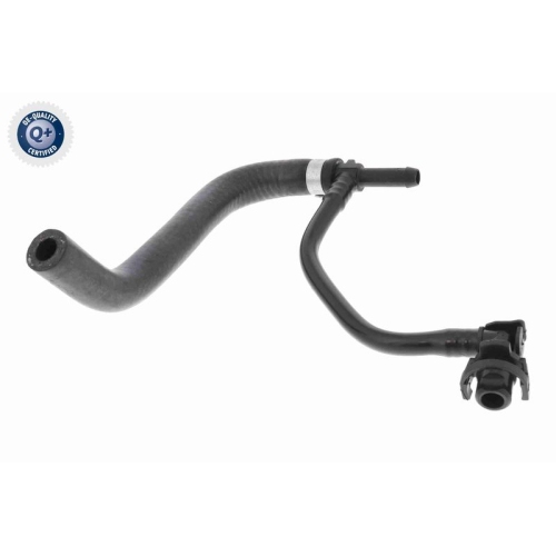 VAICO K&uuml;hlerschlauch Q+, Erstausr&uuml;sterqualit&auml;t V40-0536