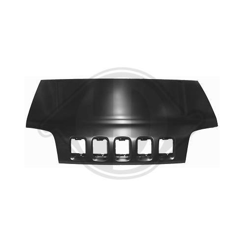 DIEDERICHS Motorhaube 6425800