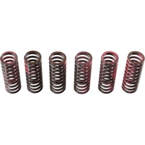 TRW Kupplungsfedernsatz MEF307-6