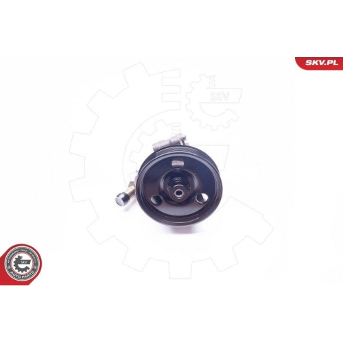 ESEN SKV Hydraulikpumpe, Lenkung